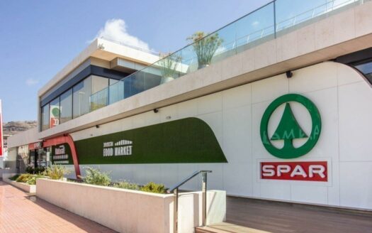 Renovated duplex with terrace and parking space in Puerto Rico